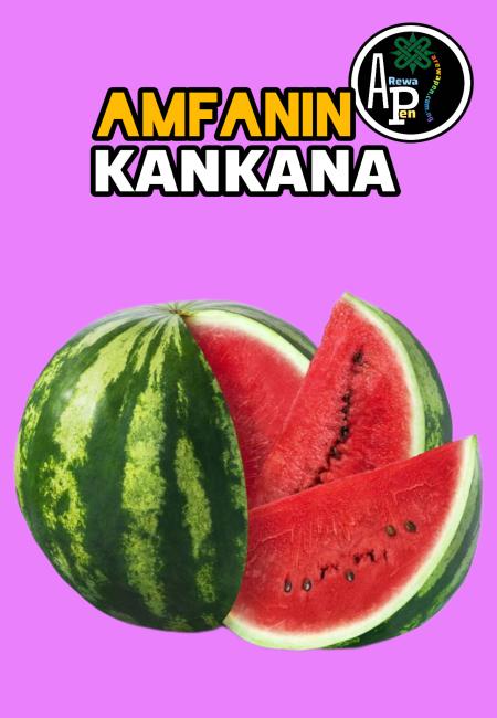 Amfanin kankana a Fatar Dan Adam